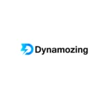 Digital-Preeyam-Providing-Freelance-Digital-Marketing-Services-TO-DynamoZing-Gaming-Gadgets-Company